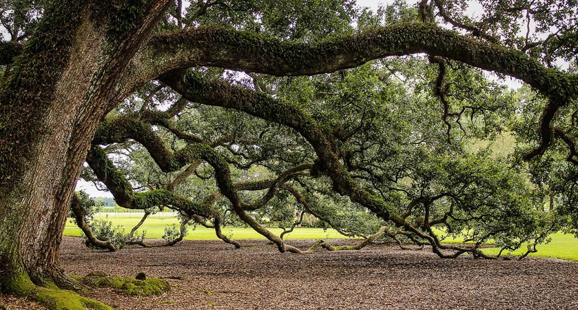 账号商城正版的ddos压力测试平台